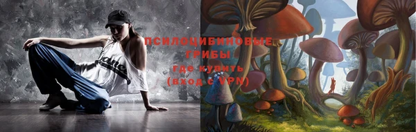 первитин Вяземский